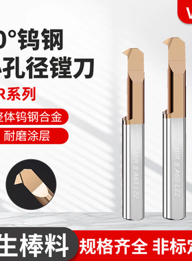 MIR小孔径镗刀小径内螺纹刀内孔镗孔刀数控抗震刀杆钨钢小孔车刀