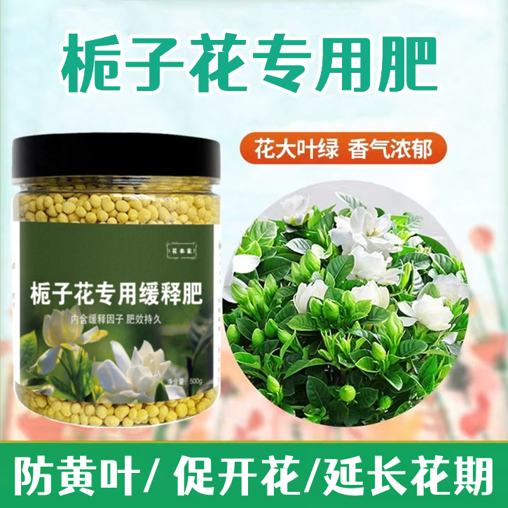 花本家栀子花专用肥缓释肥料