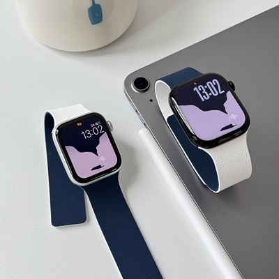 拼色荔枝纹适用iwatchs11/10表带