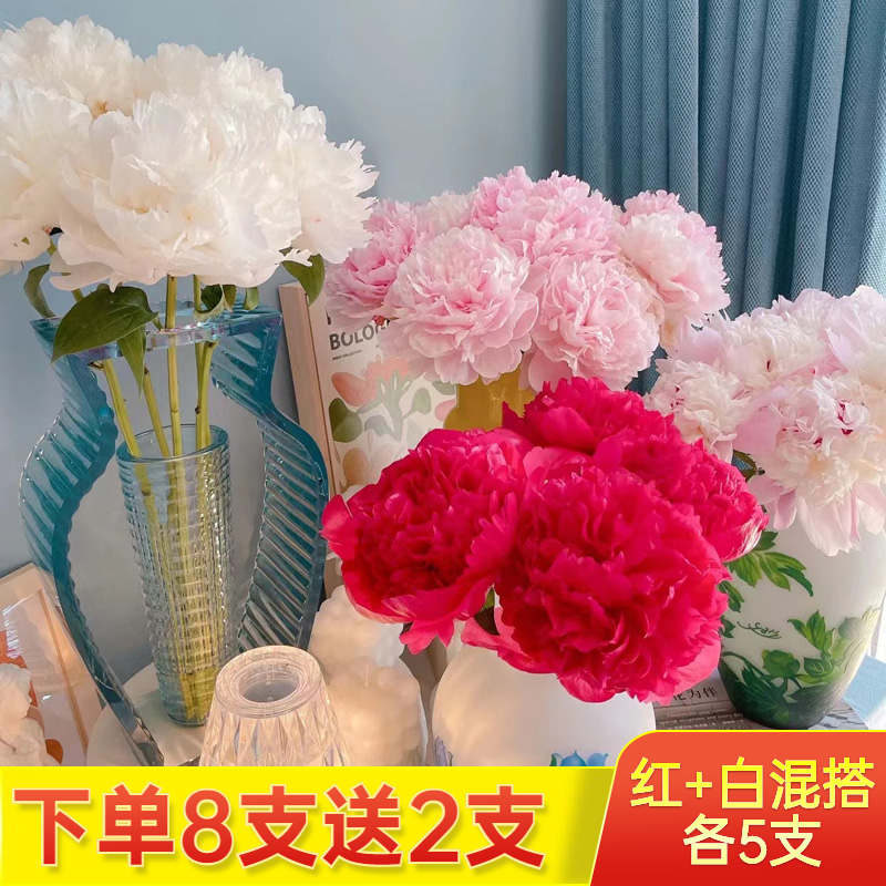 粉色芍药鲜切花重瓣花束云南家庭插花卉云南鲜花玫瑰百合母亲节