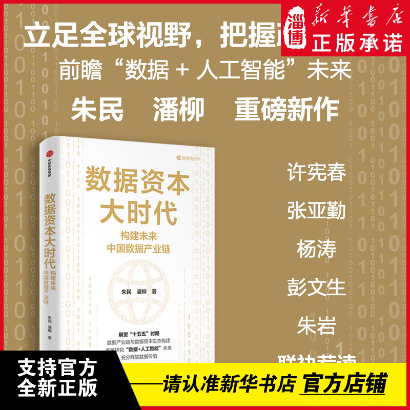 数据资本大时代 朱民著 数据是智能时代的关键生产要素 展望&ldquo;十五五&rdquo;时期数据产业链与数据资本生态构建 新华正版