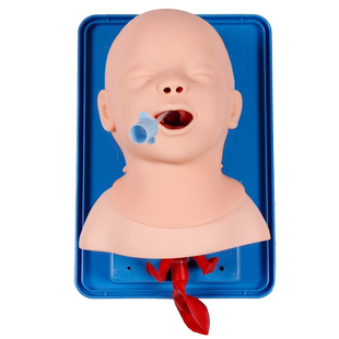 医训 高级婴儿气管插管训练模型气道管理口鼻气管插管舌口咽会厌喉声带气管真实解剖