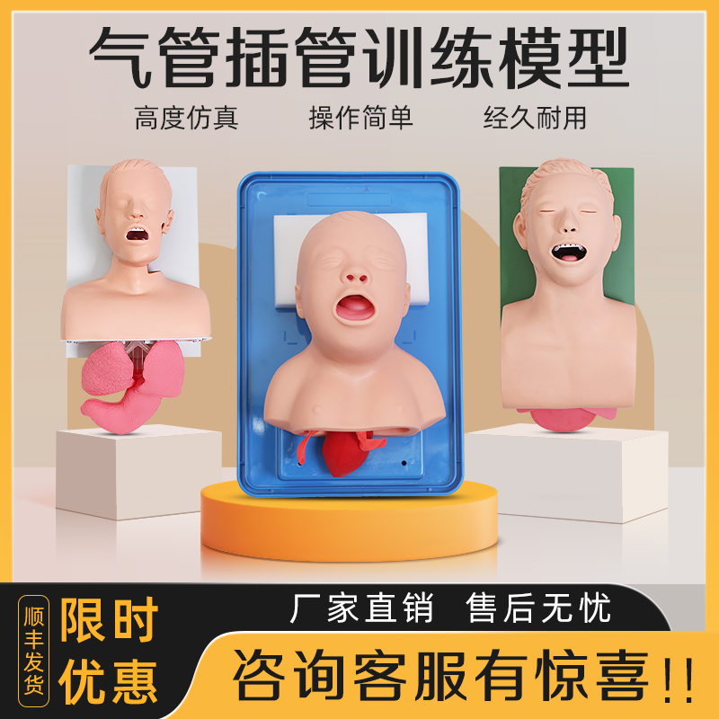 医训高级人体气管插管训练模型