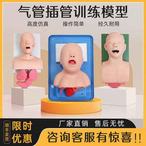 医训高级人体气管插管训练模型