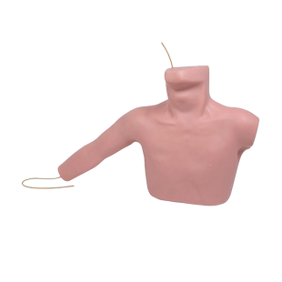 医训 YX/L67A外周穿刺中心静脉穿刺插管模型上腔锁骨下静脉穿刺及颈内静脉穿刺模具