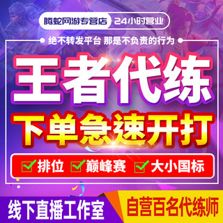 王者荣耀代练打大小国服省金标巅峰赛工作室排位上分刷战力小魔方