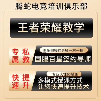 王者荣耀技术教学培训收徒拜师上分意识代练教程攻略导师指导学习