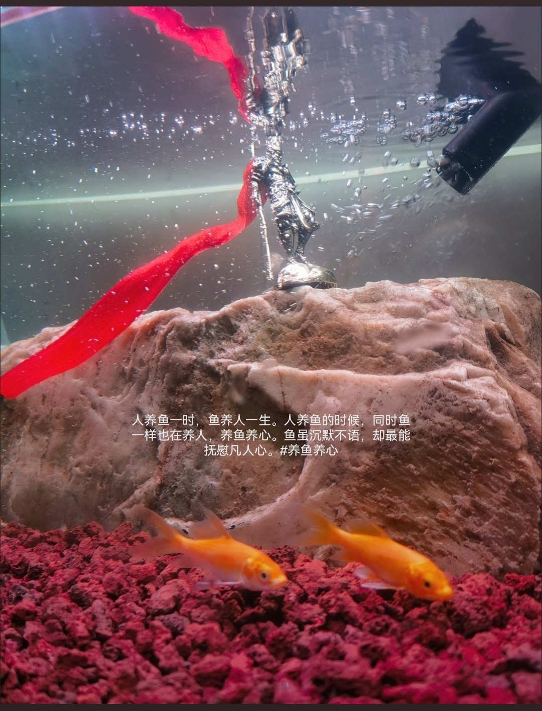 鱼缸造景孙悟空齐天大圣斗战胜佛摆件微景观装饰沉水小石头禅意