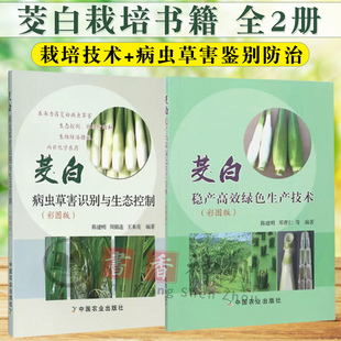 茭白种植技术书籍全2册 茭白病虫草害识别与生态控制+茭白稳产高效绿色生产技术彩图版栽培技术病虫草害鉴别防治贮藏保鲜