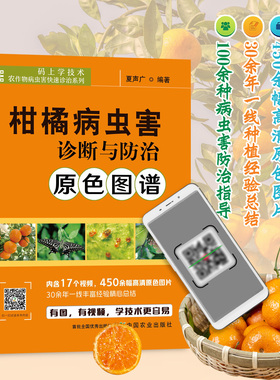 【中国农业出版社】柑橘病虫害诊断与原色图谱 28265 柑橘 病虫害 诊断  图谱 柑橘病虫害  诊断 柑橘病害 柑橘虫害