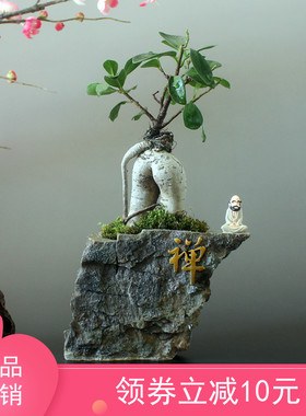 达摩禅意风家居客厅榕树工艺品