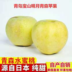 青森苹果青岛明月苹果新鲜水果水蜜桃苹果脆甜多汁4.5斤产地直发