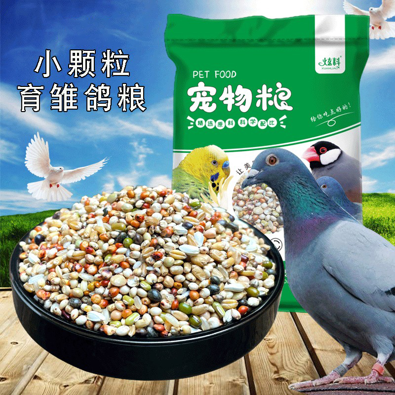 专用无玉米小颗粒育雏粮食信鸽