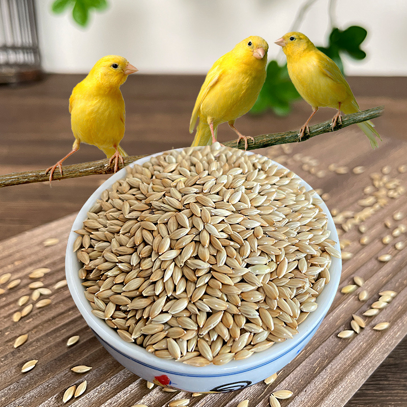 炫料加纳利子珍珠鸟粮鹦鹉鸟食