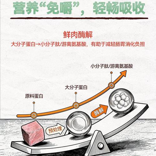倍内菲狗粮【它博会专属】犬粮滋润肠道缓解泪痕2kg/2kg*3食安盾