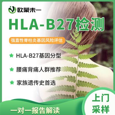 强直性脊柱炎基因检测 HLA-B27基因分型检测 腰痛背痛基因检测