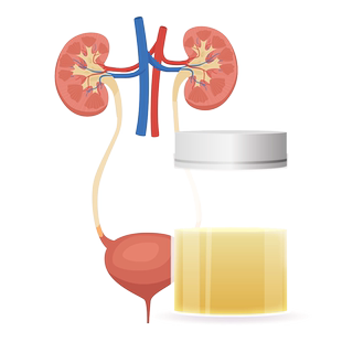 全外显子测序 全外显子基因检测 单基因遗传病筛查家族遗传病检测