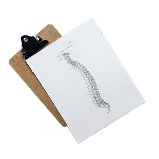 HLA基因分型检测 自身免疫病基因检测 HLA-A/B/C HLA-DR/HLA-DQ