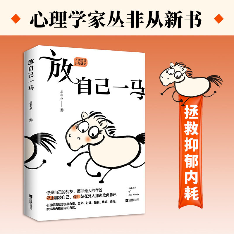 放自己一马 心理咨询师丛非从教你摆脱精神内耗 摆脱抑郁停止精神内耗自救指南拒绝反内耗心理学的书