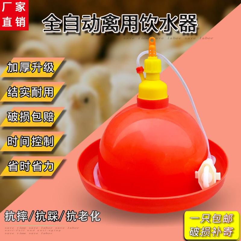 养鸡养鹅饮水器加鸡饮t水器喂水器鸭水壶养鸡设备养殖用品