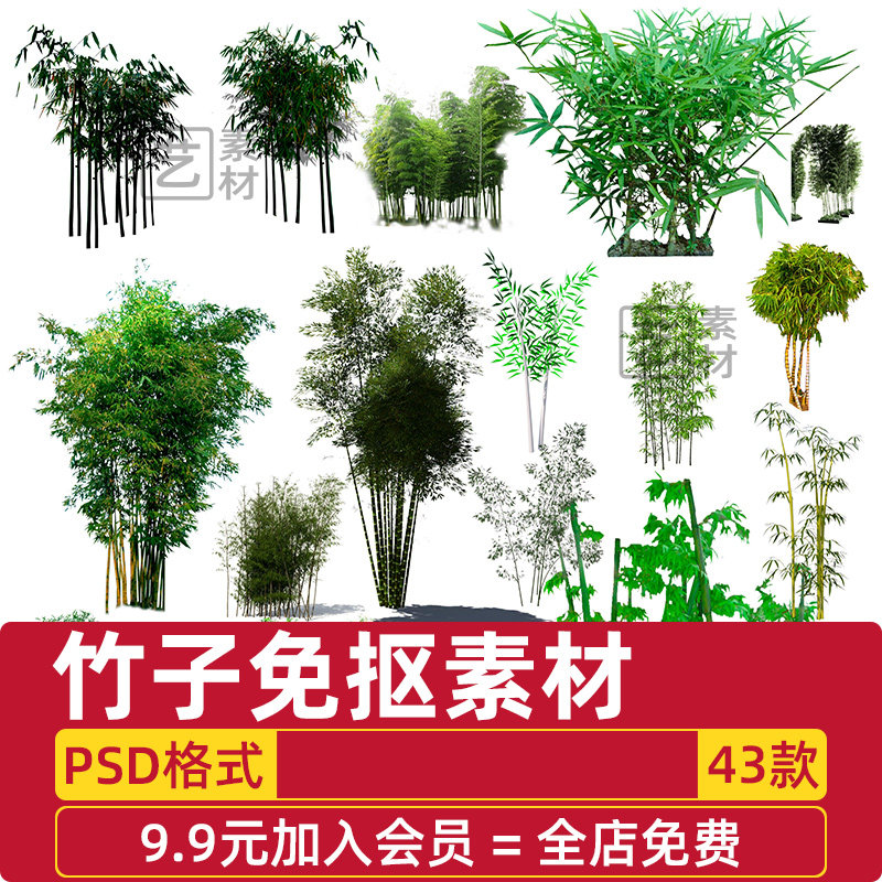 竹子立面,竹子立面手绘_大山谷图库