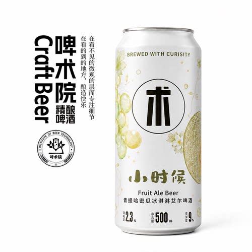 啤术院小时候艾尔精酿啤酒2罐装