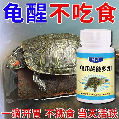 乌龟多维维生素片不爱吃饭猛长