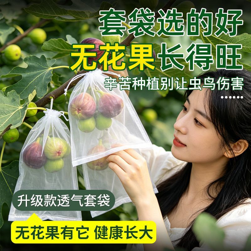 无纺布防鸟防虫保护袋