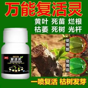 植物枯萎复活液花卉绿植盆栽通用光杆发黄发财树多肉园通用型