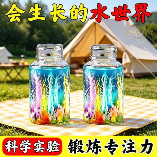 水中花园科学实验套装化学结晶生长儿童科普玩具手工DIY水下景观