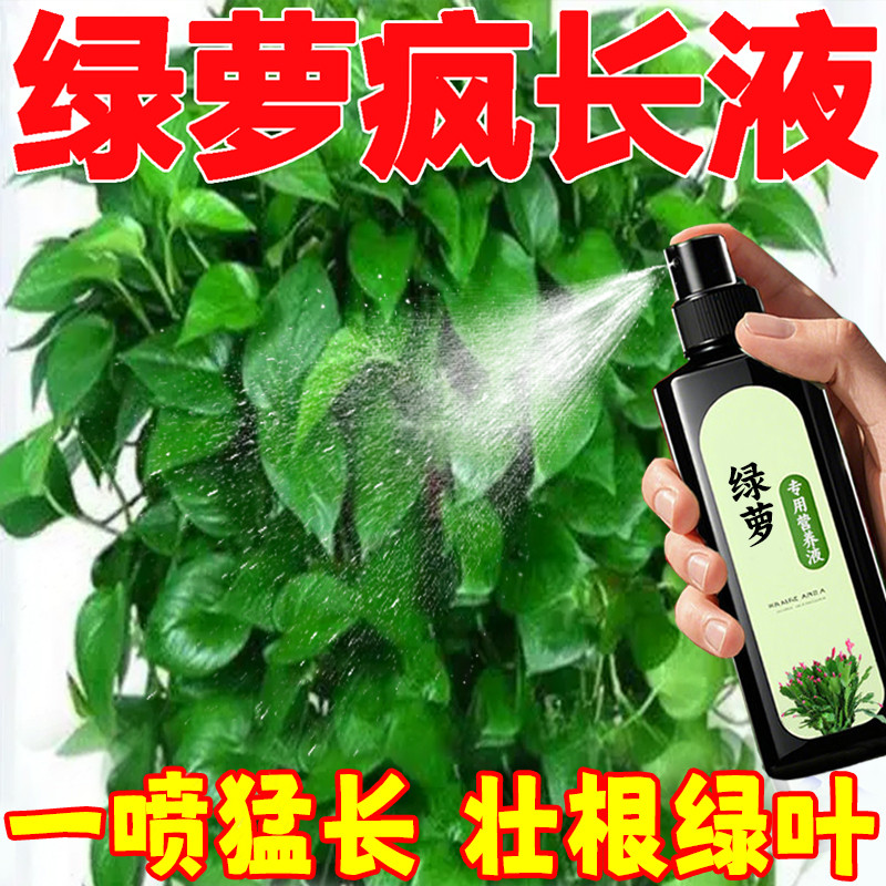 绿萝专用营养液专治黄叶烂根不生长强力促新芽叶片油绿发亮免稀释