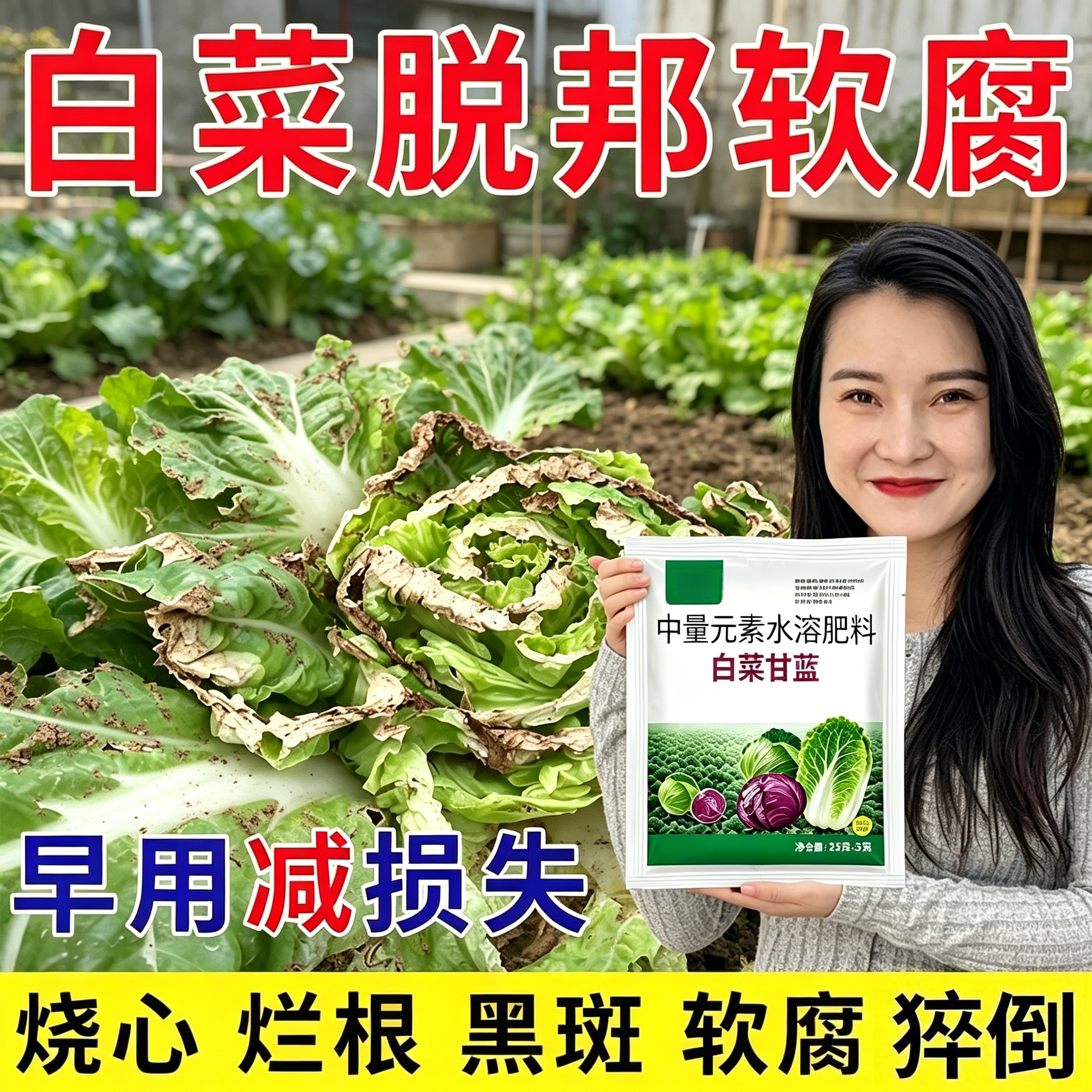 白菜专用有机肥复合肥底肥追肥冲施肥叶面肥水溶肥粗壮高产促生长