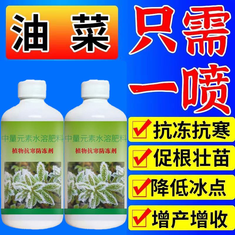 植物防寒防冻剂蔬菜专用防冻促生长抵御低温冻害增强作物免疫力