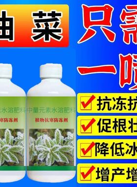 植物防寒防冻剂蔬菜专用防冻促生长抵御低温冻害增强作物免疫力