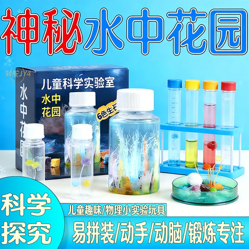 水中花园小学生DIY生长石实验