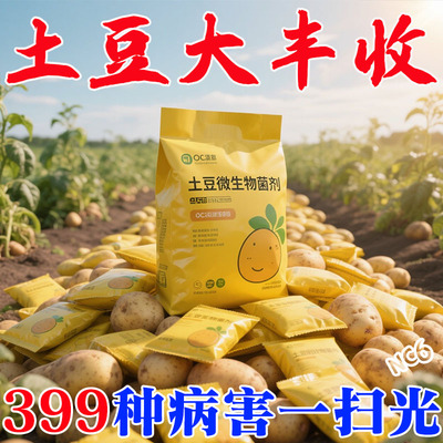 土豆宝宝土豆种植用营养膨大果实生根壮苗水溶肥料提质增产防病害