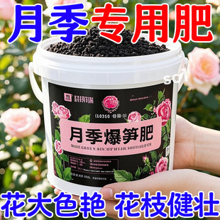 月季肥料专用肥花肥水溶玫瑰爆笋缓释蔷薇开花花大色艳笋芽猛窜