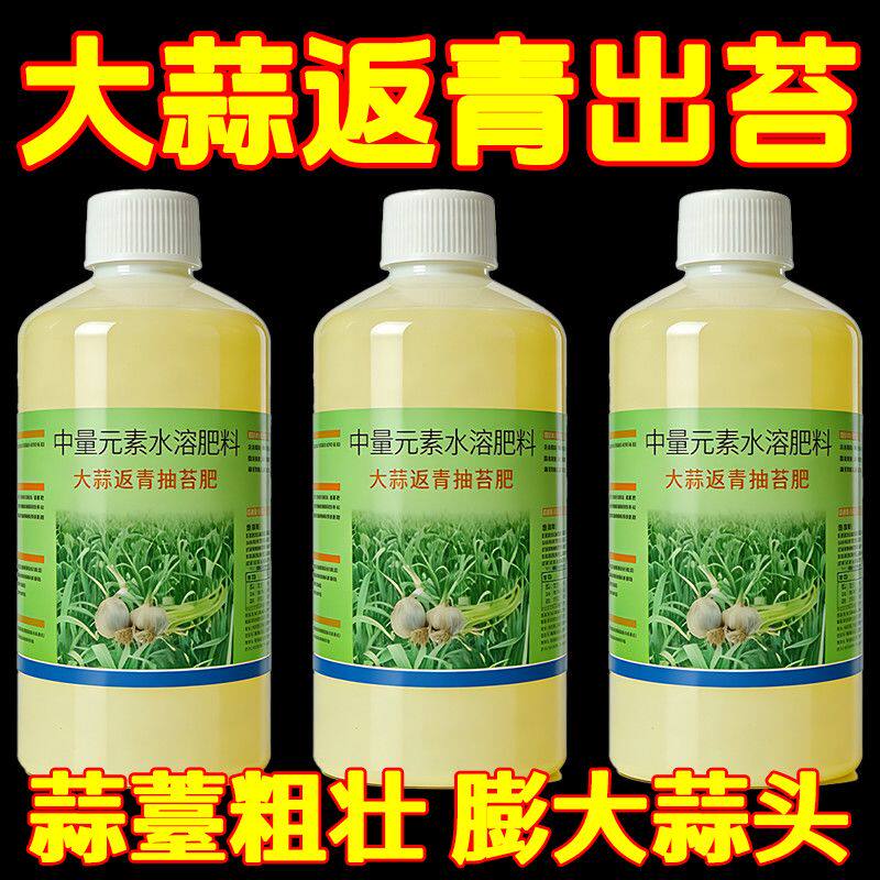 大蒜返青抽苔早熟增产肥