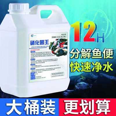 硝化细菌鱼缸用硝化菌消化细菌活菌稳定水质清澈剂净水剂养鱼用品