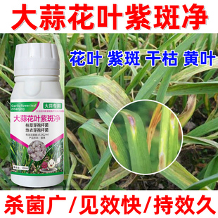 大蒜正品 药干尖黄叶烂根烂叶紫斑锈病微生物菌剂 药大蒜药蒜苗正品