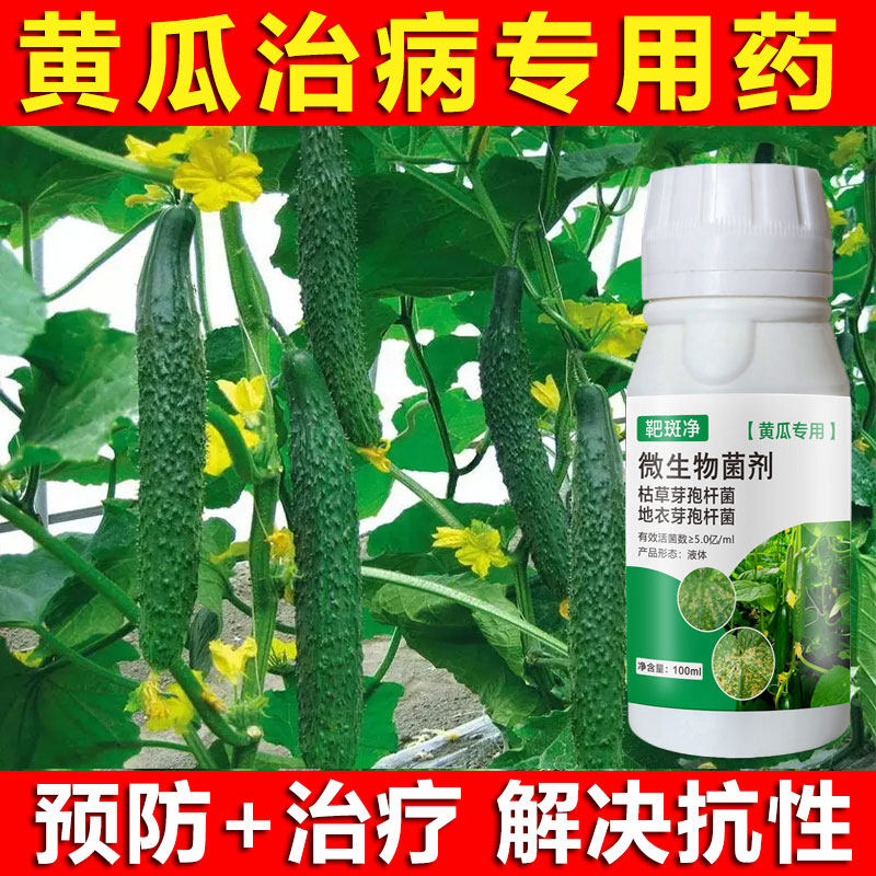 黄瓜病专用黄瓜杀菌剂靶斑病叶斑病霜霉病角斑病枯萎病白粉病疫病