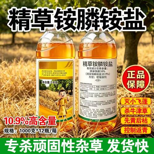 精草铵膦铵盐除草烂根剂牛筋草节节草非耕地荒地果园除草厂家直发
