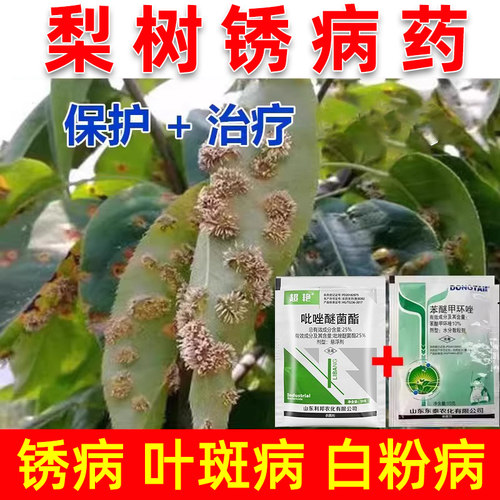 梨树杀菌剂铁锈病白粉病梨树