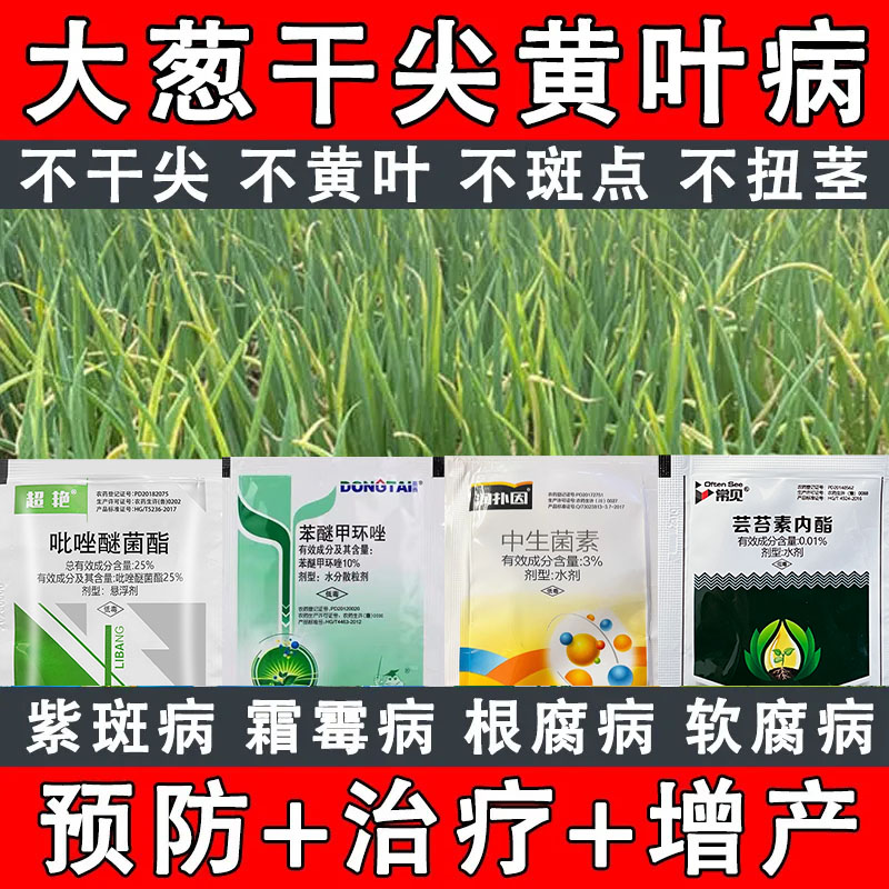 大葱专用药白斑病霜霉病锈病黄叶病黑斑病干尖药紫斑病农药杀菌剂 农用物资 杀菌剂 原图主图