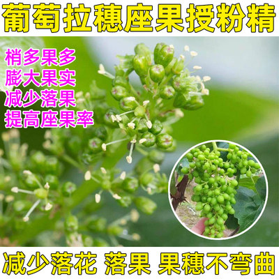 葡萄促花催花灵促花促果提高座果强势授粉花果不落果树通用叶面肥