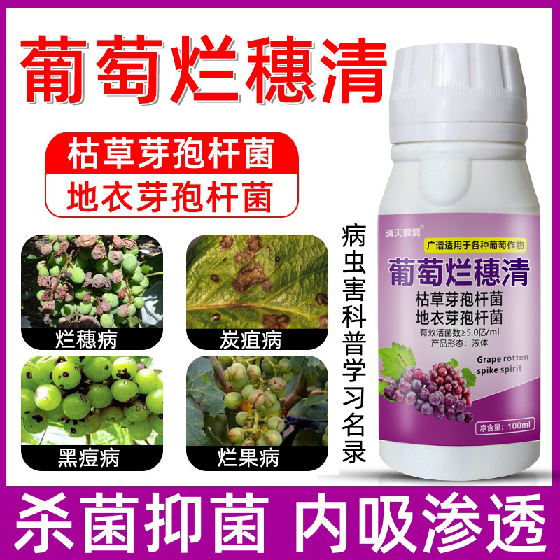 炭疽病灰霉病白腐病葡萄爛穗靈