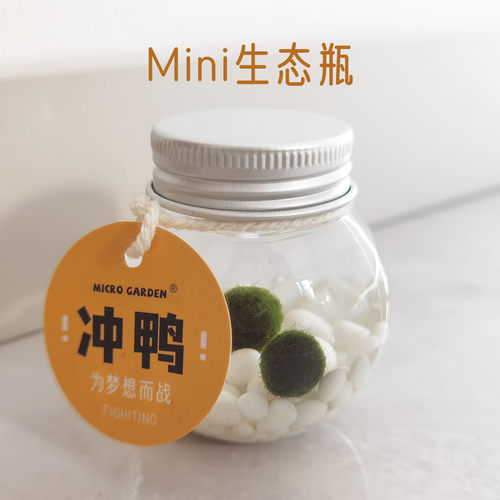 迷你生态瓶园艺微景观创意水族箱造景装饰品摆件海藻球水草小植物