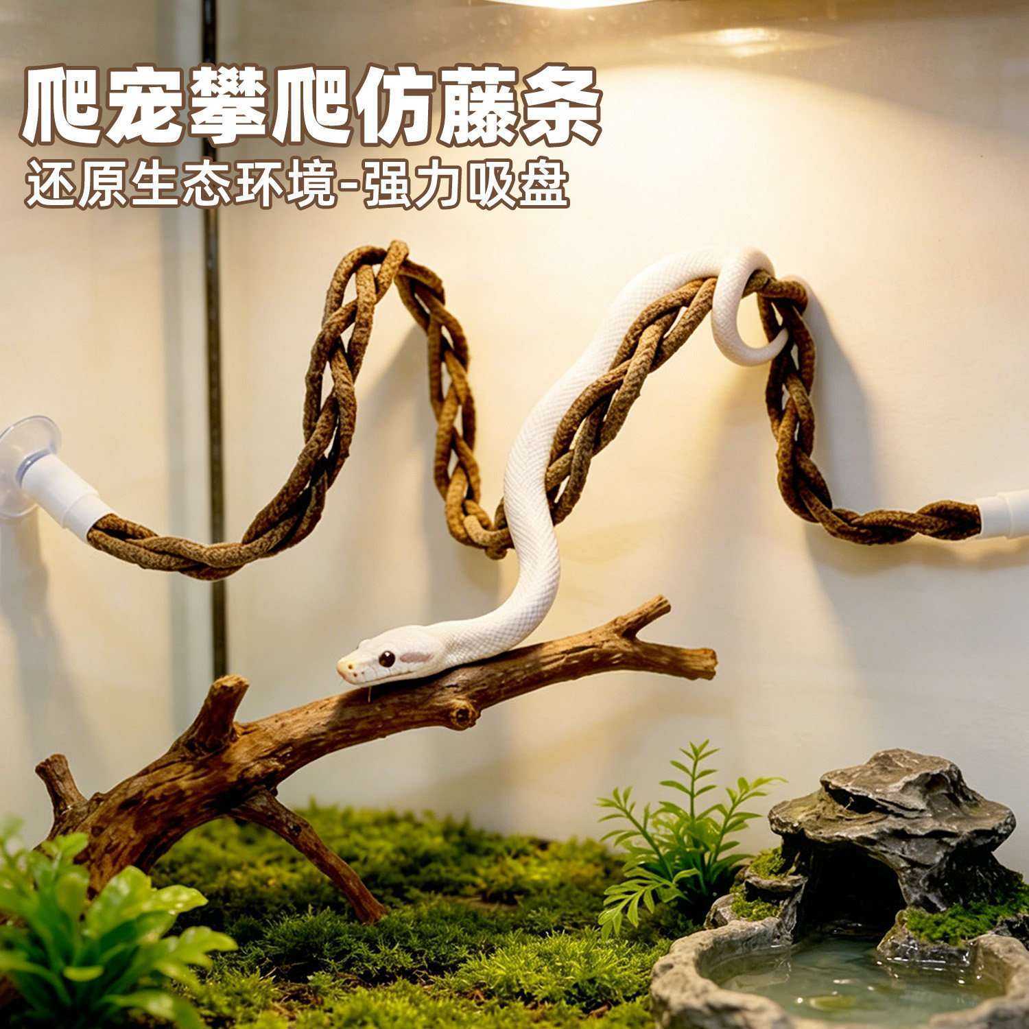 爬宠仿真树藤条攀爬架吸盘饲养箱生态造景蛇睫角守宫鬃狮蜥蜴躲避