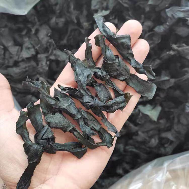海带扣海带结海带结干货福建霞浦特产野生无沙免洗天然厚海带结