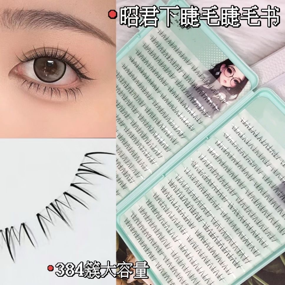 大容量爆款昭君下睫毛自嫁接混搭风自然分段仿真假睫毛书本公主